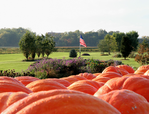 Scheuermann Farms and Nursery